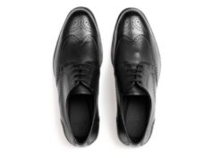 Alternative view of Herrskor Pd002-01