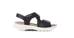 Alternative view of Damskor Gs002-01